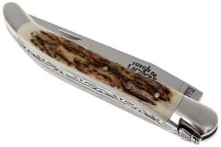 Forge Laguiole 11cm Cuerno De Venado 1211INCFBRI -Tienda Barata Cuchillos LA1211INCFBRI 03 forge de laguiole la1211incfbri 03