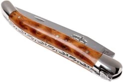 Forge Laguiole 1211INTHBRI, Ciprés De Cartagena 12 Forge Laguiole 1211INTHBRI, Ciprés De Cartagena -Tienda Barata Cuchillos LA1211INTHBRI 04 forge de laguiole la1211inthbri 04